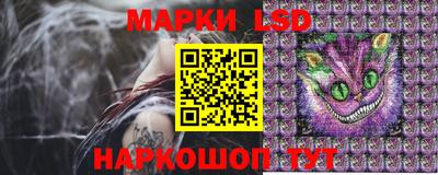 дурь Берёзовский