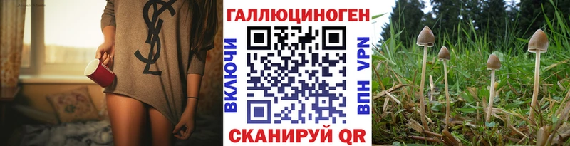 Галлюциногенные грибы GOLDEN TEACHER  Городец 