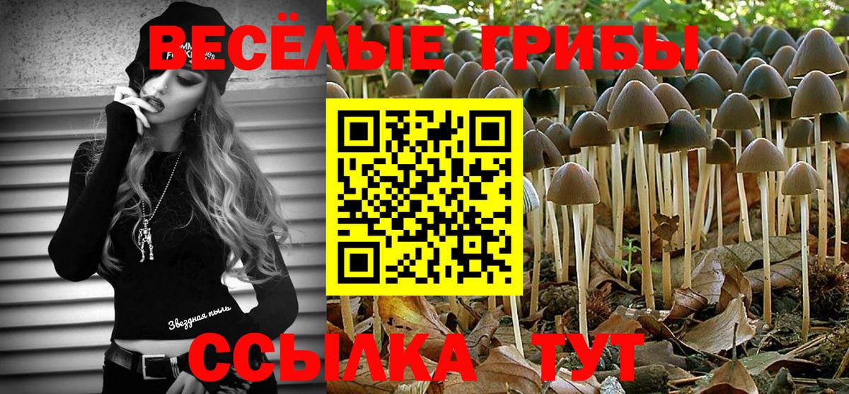 Галлюциногенные грибы Psilocybe  Вход с VPN  Городец 