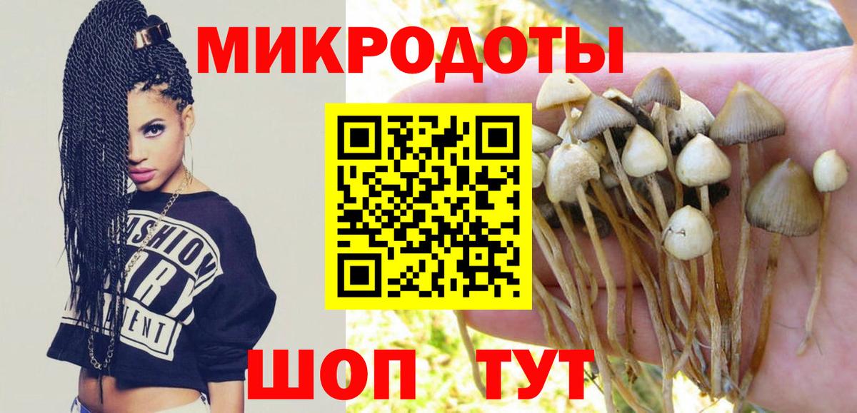 Псилоцибиновые грибы GOLDEN TEACHER Городец