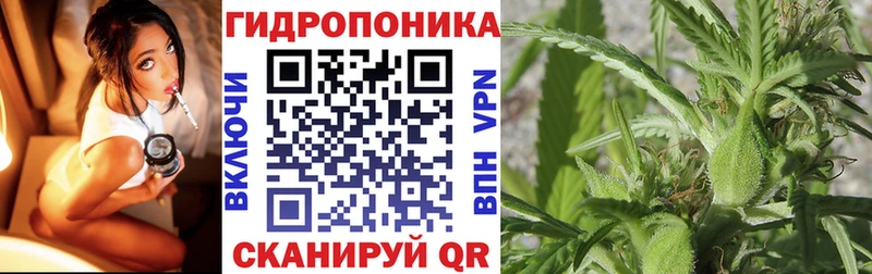 Конопля OG Kush  закладки  Городец 
